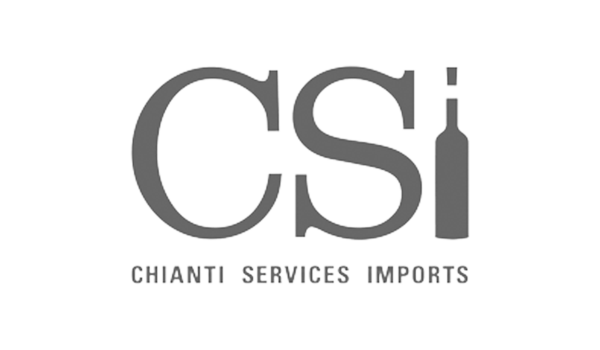 logo-csi-a698ef3